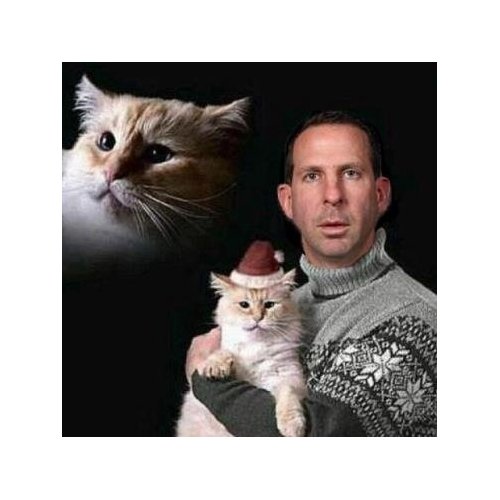 Faux%20Pelini.jpg